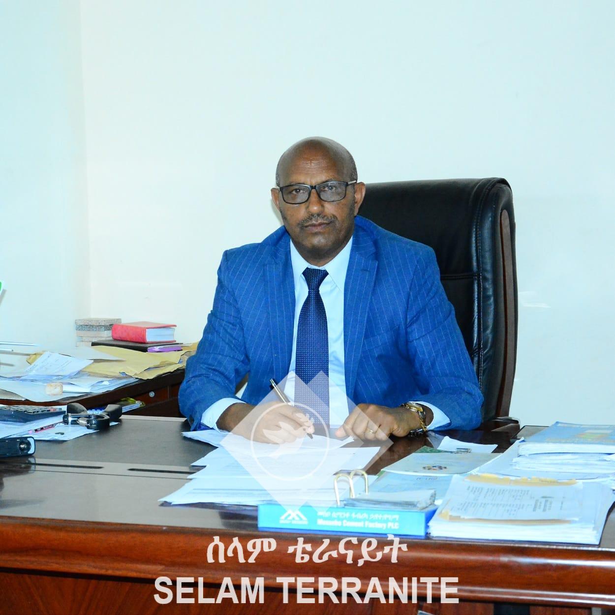 CEO - Ato Gebremedhin Gebremariam